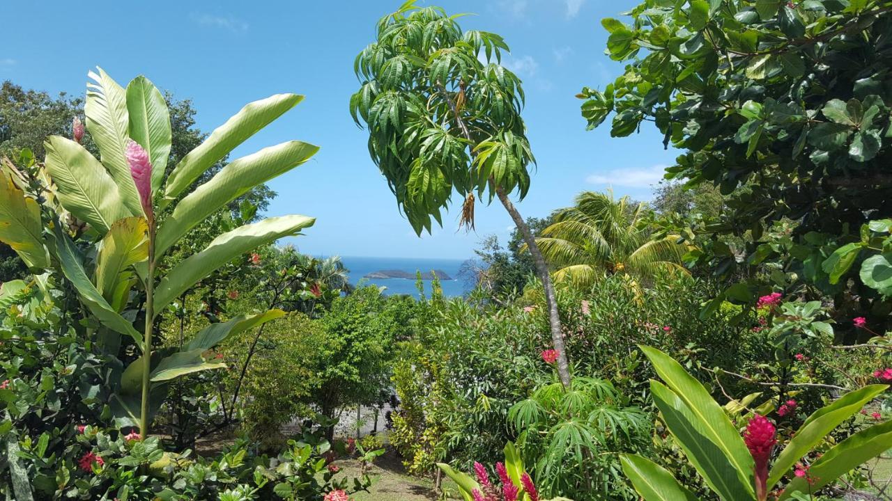 Vacances Bien Etre Guadeloupe Bouillante Eksteriør billede