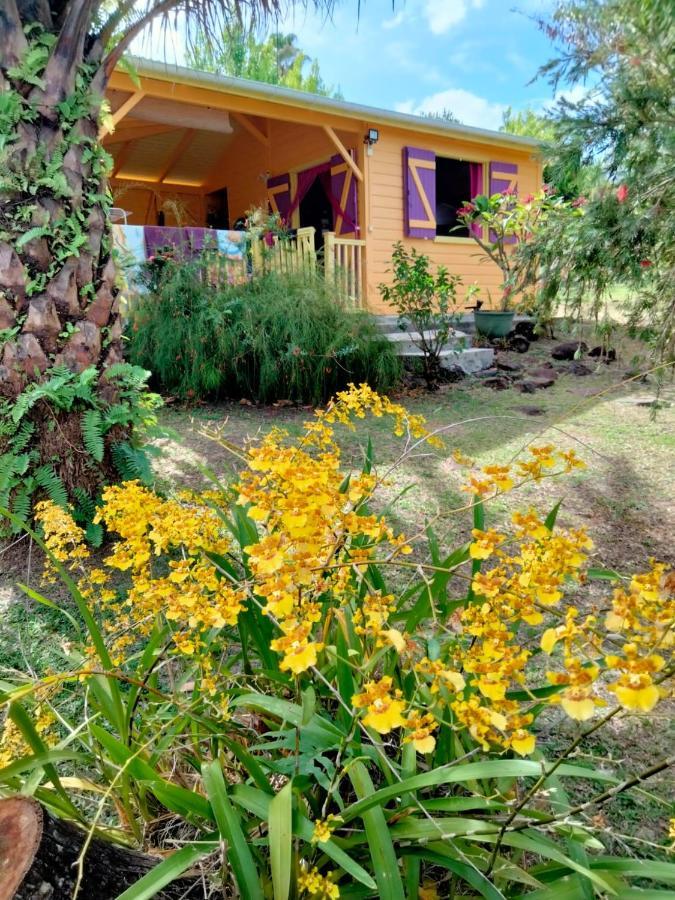 Vacances Bien Etre Guadeloupe Bouillante Eksteriør billede