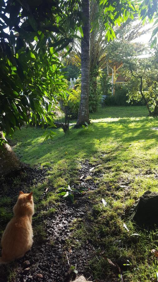 Vacances Bien Etre Guadeloupe Bouillante Eksteriør billede