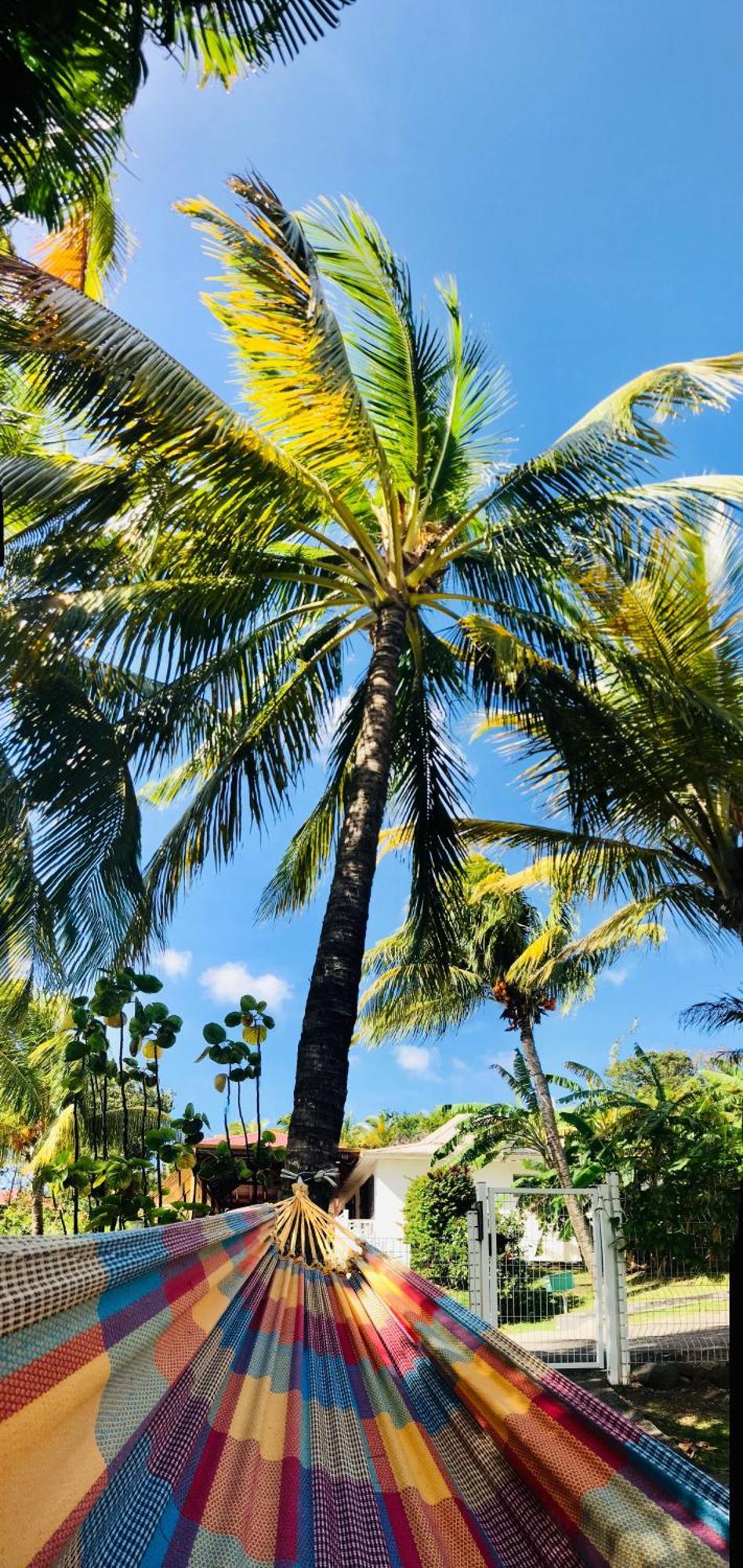 Vacances Bien Etre Guadeloupe Bouillante Eksteriør billede